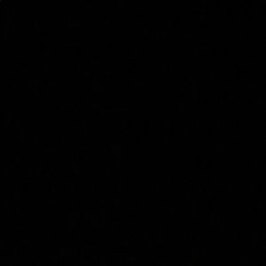 Meet your Posher, Antonio